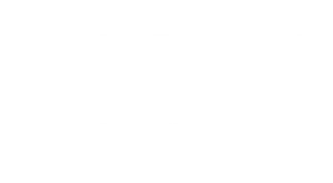 finn white logo