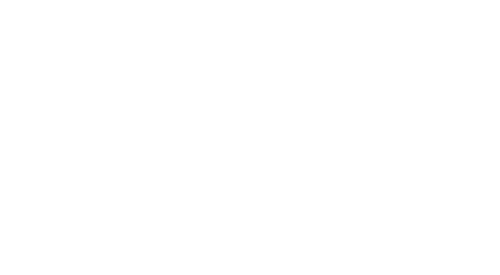 finn white logo